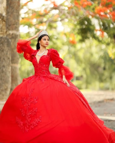 rojo de mangas basico