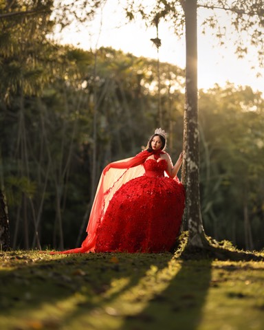 ROJO DE CAPA BASICO